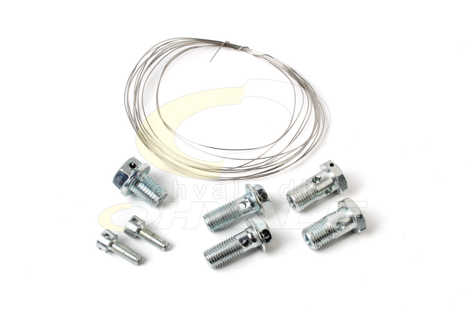 190 Daytona Holed Screw Kit