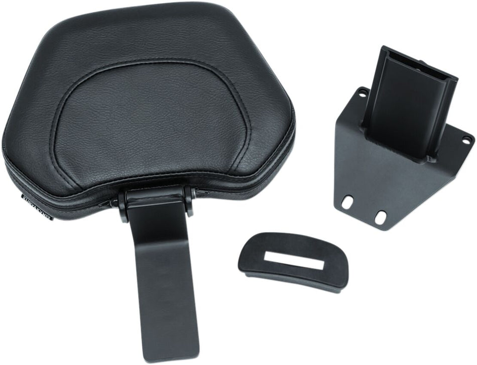 BACKREST DRV OMNI 18+ GL