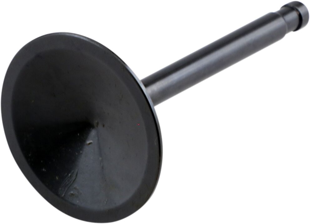 VALVE BLACK DIAMOND INTAKE