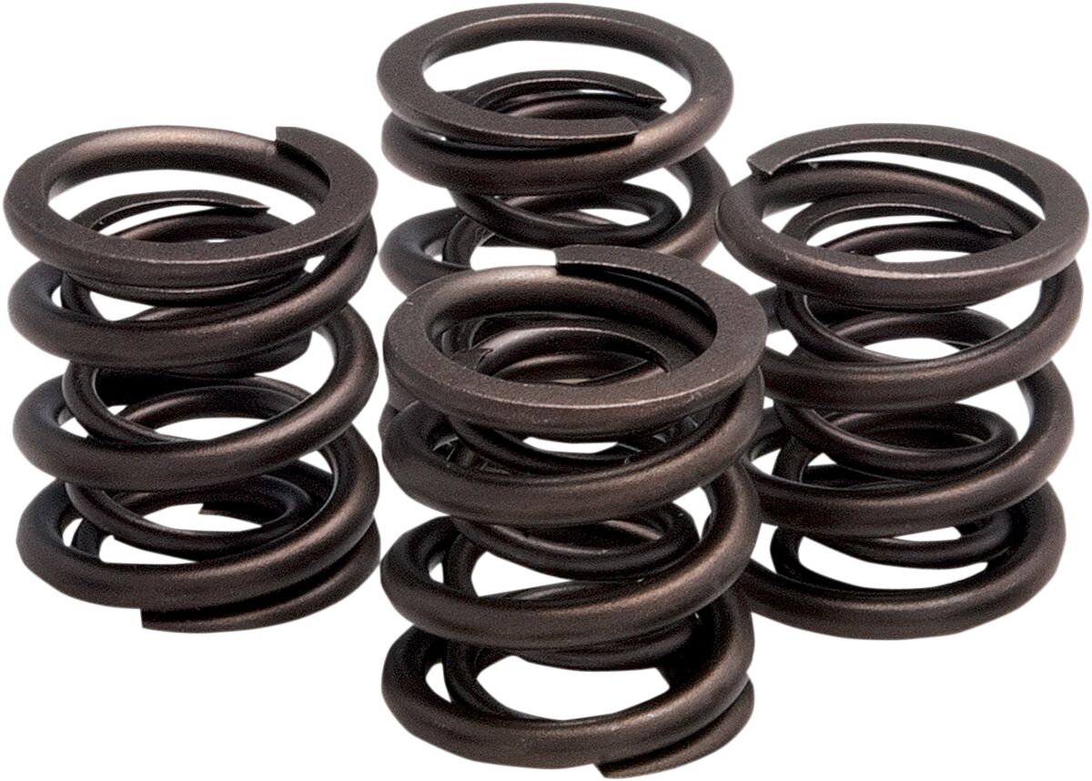 SPRING ONLY OEM REPLACEMENT KIT