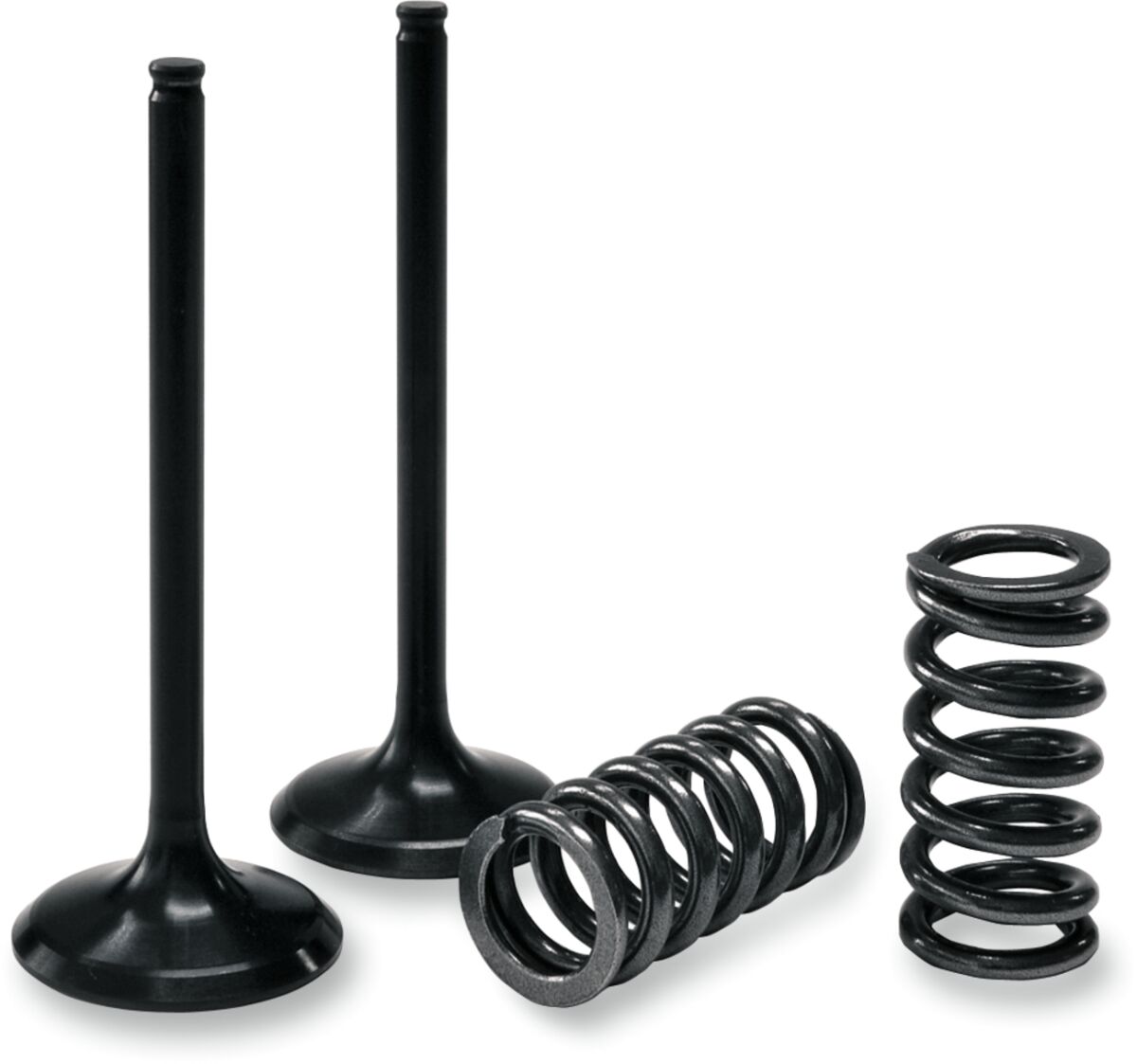 VALVE AND SPRING EXHAUST KIT