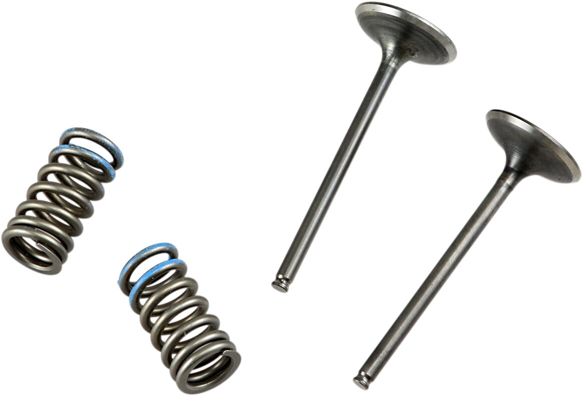 VALVE AND SPRING INTAKE KIT