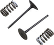 VALVE AND SPRING INTAKE KIT