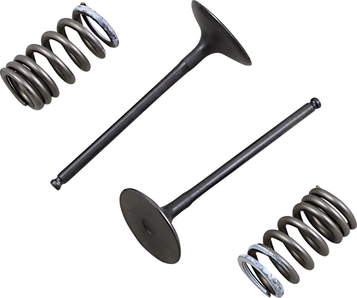 VALVE AND SPRING INTAKE KIT