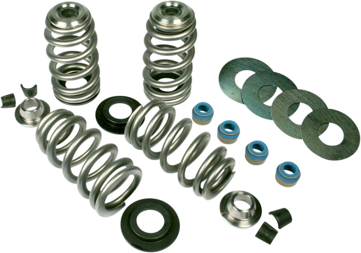 VALVE SPRING KIT ENDURANCE BEEHIVE SCREAMIN EAGLE