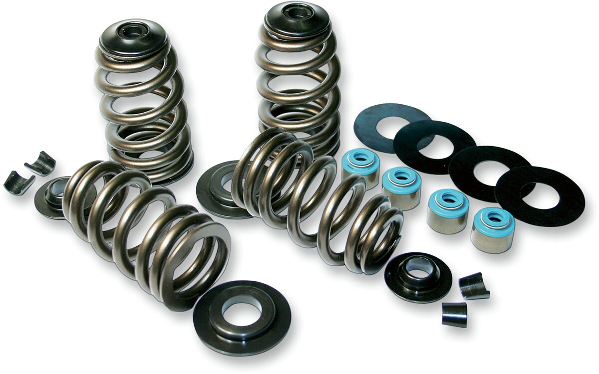 VALVE SPRING KIT ECONO BEEHIVE