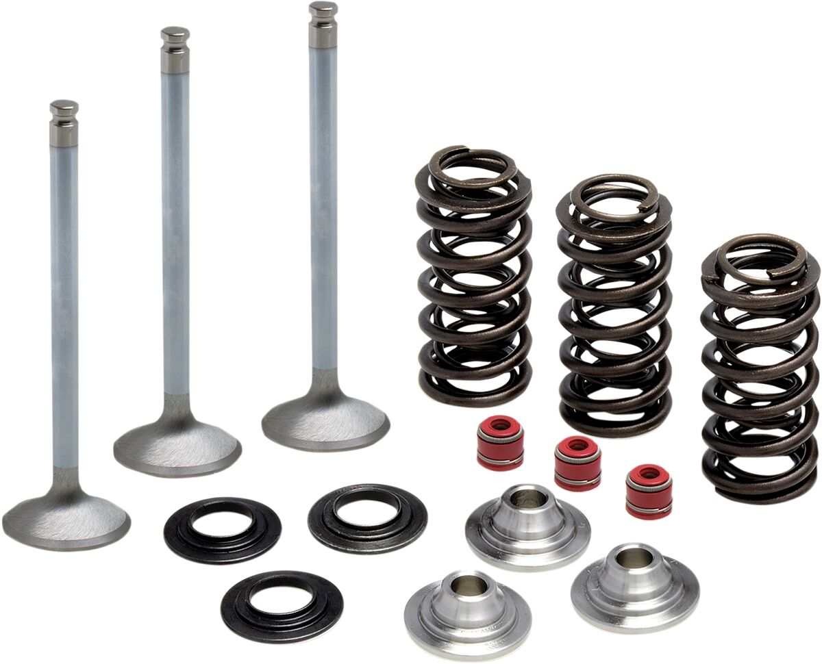 INTAKE VALVE & SPRING KIT TITANIUM RETAINER
