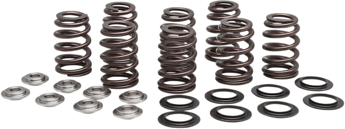 SPRING KIT BEEHIVE TITANIUM RETAINER