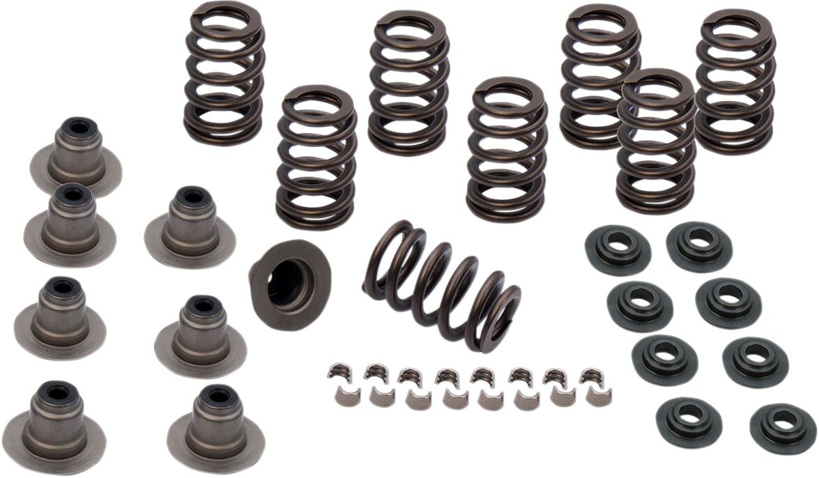 SPRING KIT VALVE HEAVY DUTY M8 ENGINES