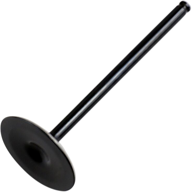 VALVE INTAKE STEEL