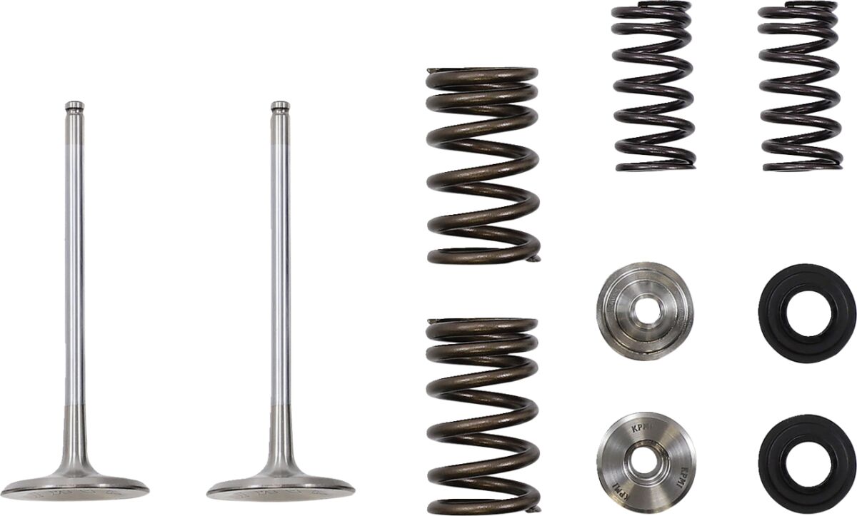 VALVE IN MSE KAW 250