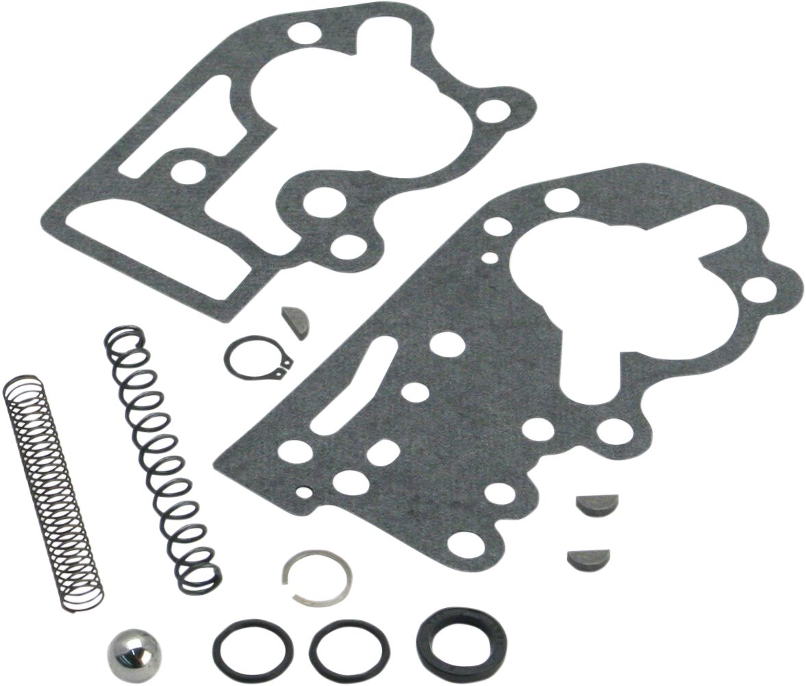 OIL PUMP MASTER REBUILD KIT