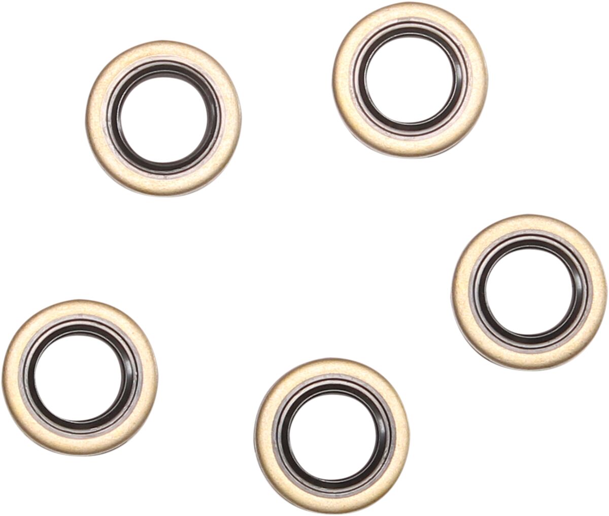 POINT COVER DOUBLE-LIP SEAL EVO-BT