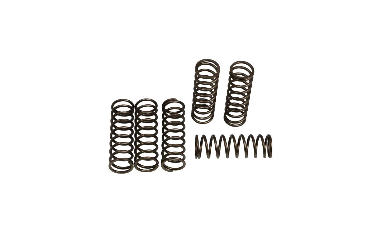 CLUTCH SPRING KIT (6 PCS)