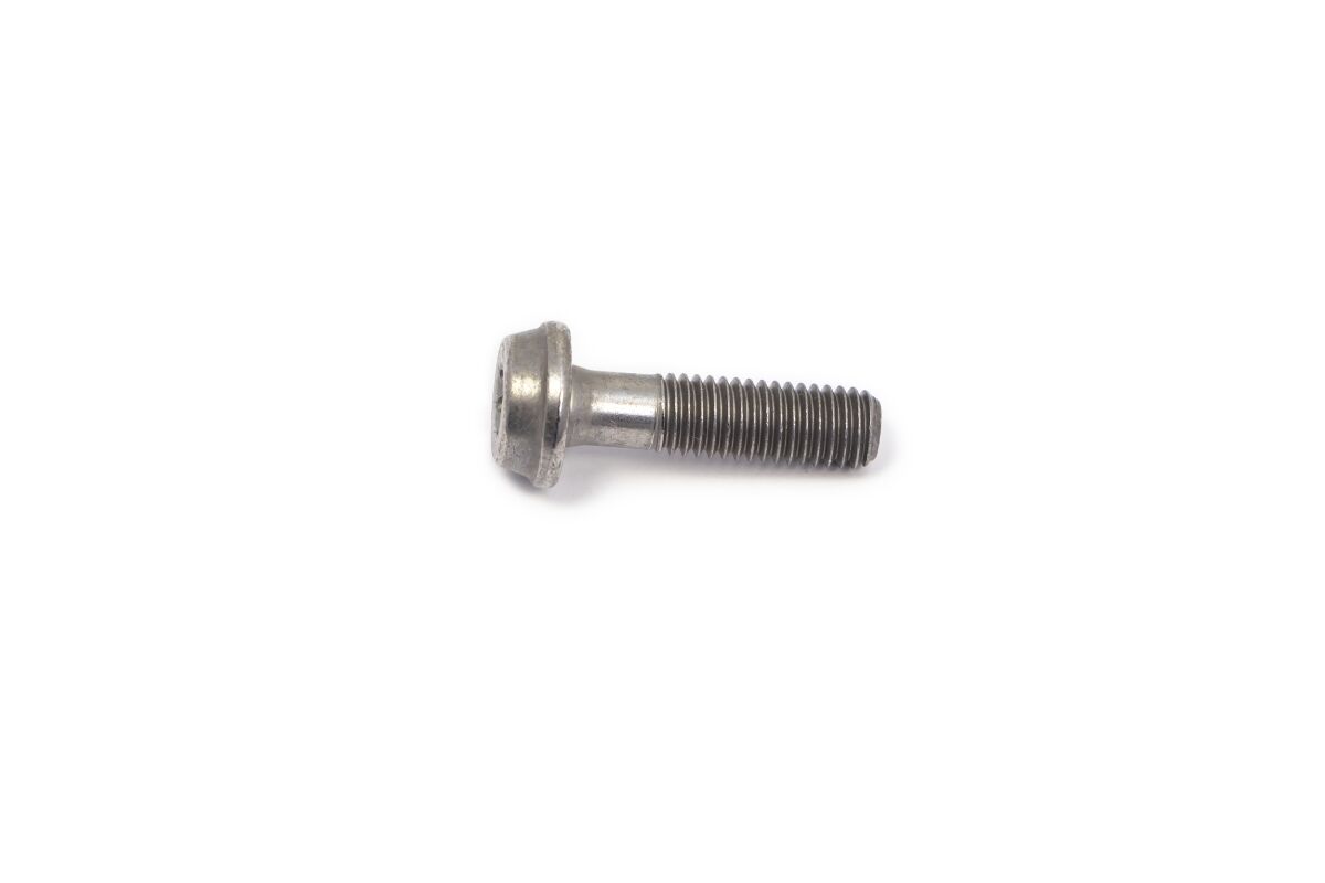 BOLT MOUNTING SCREW
