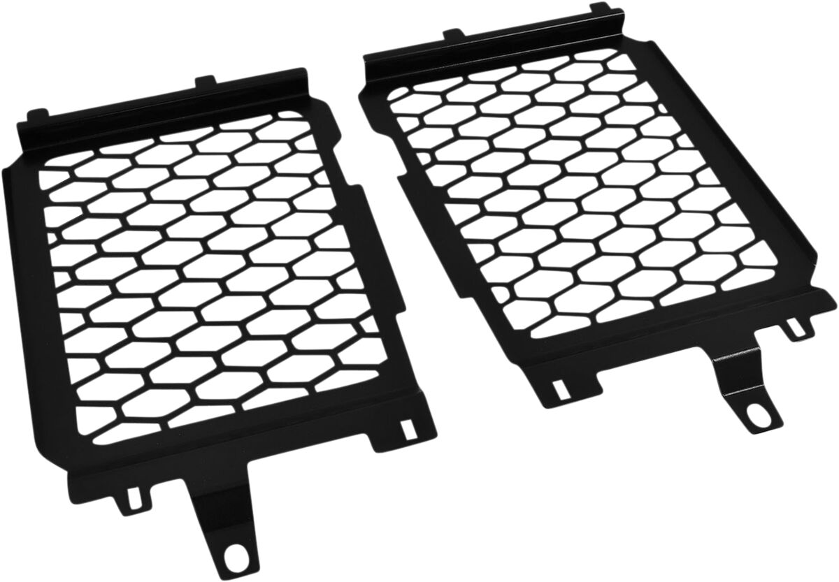 RADIATOR GUARD R1200GS
