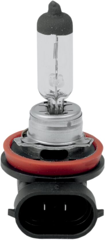 HALOGEN HEADLIGHT BULB H11 55W 12V LOW-BEAM ONLY HD V-ROD 02-13