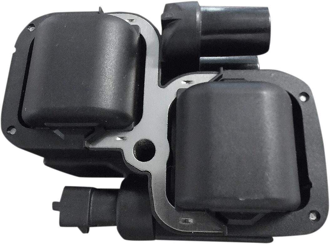 IGNITION COIL INDIAN BLACK