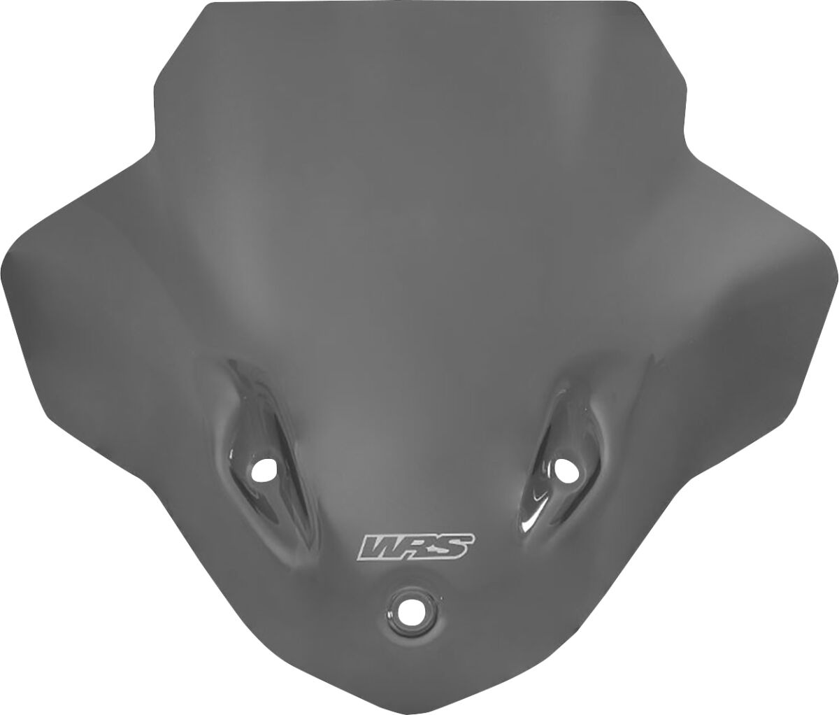 WINDSCREEN TOURING S1000R DARK