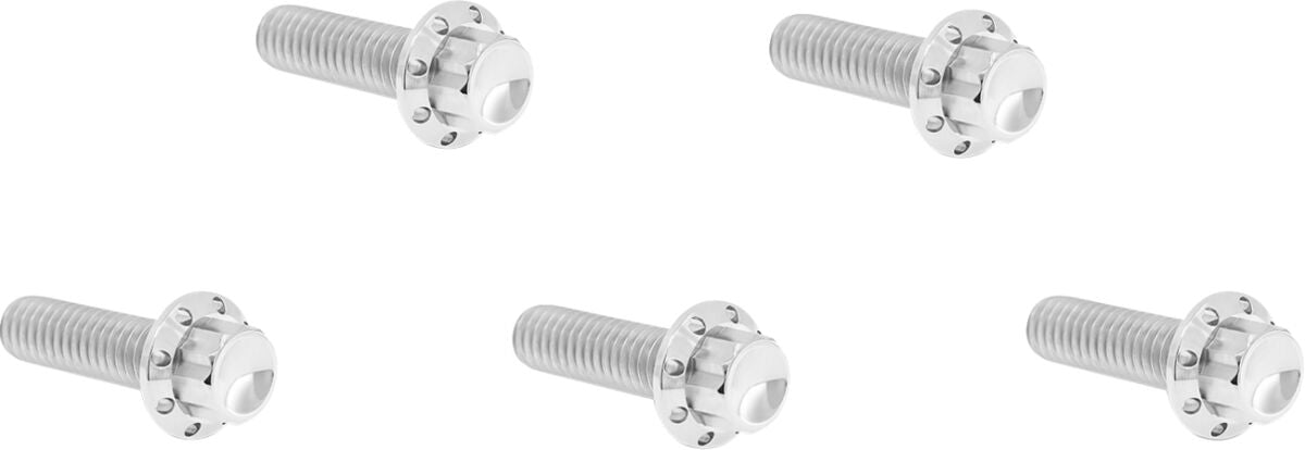 Bolt Kit - Derby Cover - 12-Point - Polished
