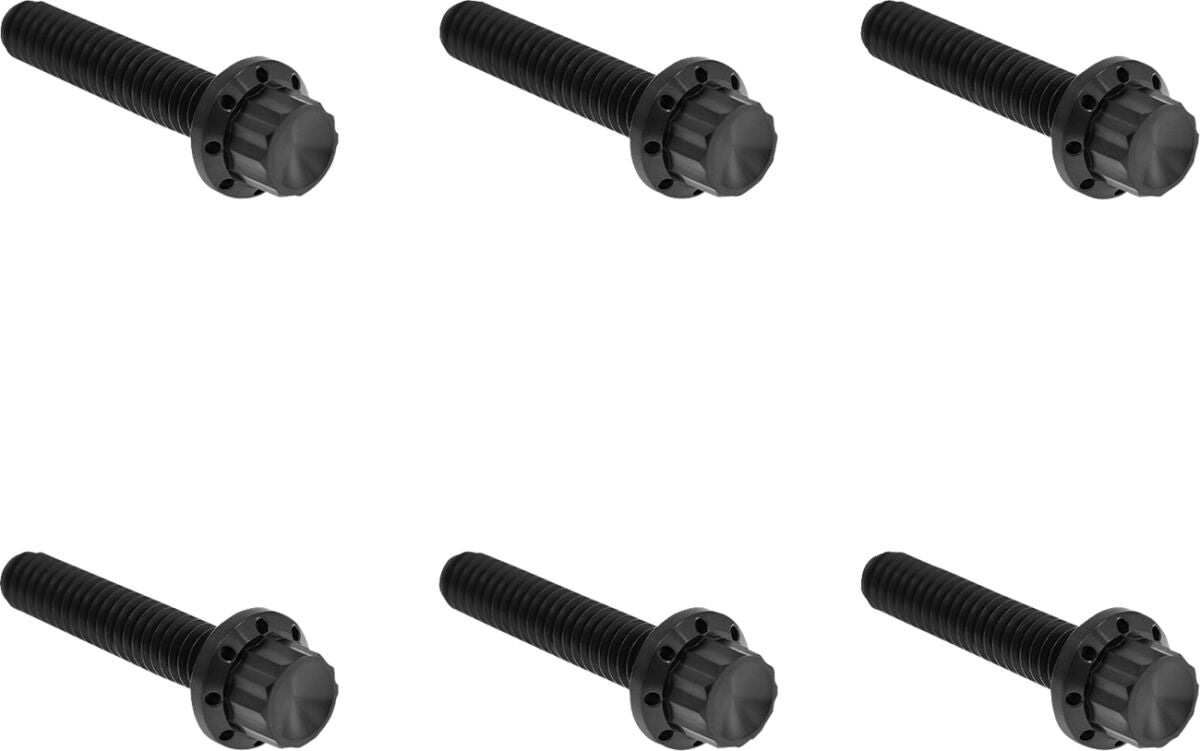 HARDWARE KIT TITANIUM 12-PNT M8G2 CLUTCH COVER BLK