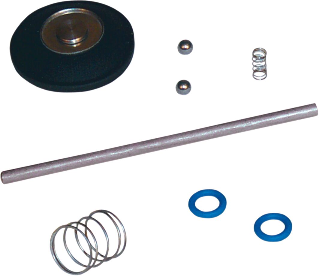 ACCELERATOR PUMP REPAIR KIT
