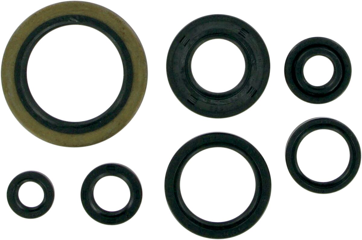 OIL SEAL SET