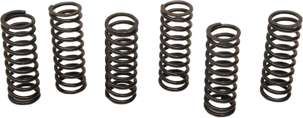 CLUTCH SPING KIT SET OF 6