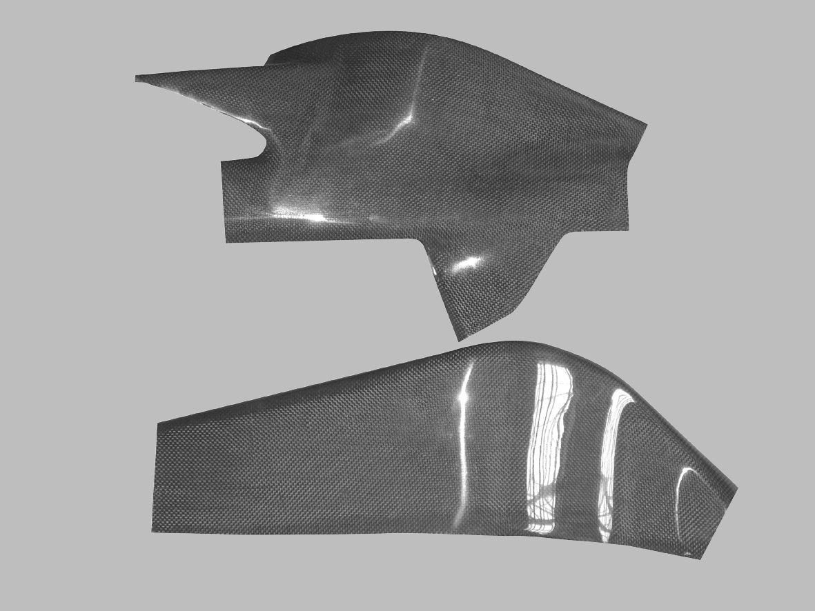 Kawasaki ZX 10 R 04-05 SWING-ARM PROTECTOR LEFT